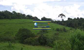 Imagem 2: Sítio 4,5 alqueires para Café, Altitude 1.100 metros, Jacuí sentido São Sebastião do Paraí