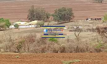 Imagem 6: Fazenda 181 hectares montada para criação de bovinos até 220 cabeças e planta café, próxim