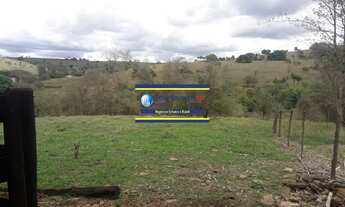 Imagem 4: Sítio 3 alqueires ou 7,26 hectares com casa, cercada, 6.000 pés de café em São Tomás de Aq