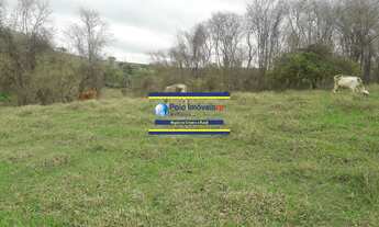 Imagem 3: Sítio 3 alqueires ou 7,26 hectares com casa, cercada, 6.000 pés de café em São Tomás de Aq