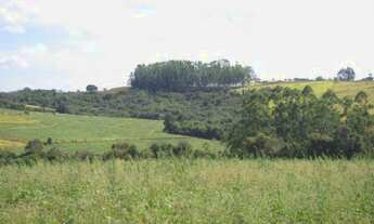 Imagem 3: SÍTIO À VENDA 43,56 HECTARES R$ 1.900.000 - ZONA RURAL - JACUI/MG