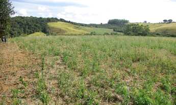 Imagem 2: SÍTIO À VENDA 43,56 HECTARES R$ 1.900.000 - ZONA RURAL - JACUI/MG