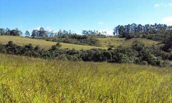 Imagem: SÍTIO 11 ALQ. PAULISTA, PARA CAFÉ, MILHO