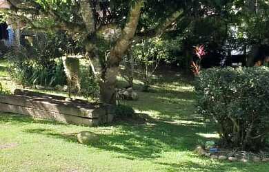 Imagem 2: SITIO RESIDENCIAL em Piraí - RJ, Rosa Machado