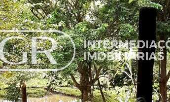 Imagem 4: TERRENO RURAL em PINHEIRAL - RJ, KM 2