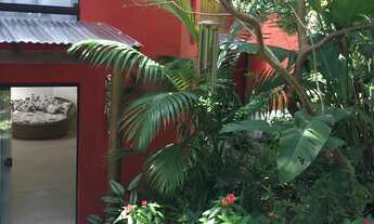 Imagem 4: Viva em um paraíso: casa mobiliada com córrego e árvores frutíferas em Garopaba-SC