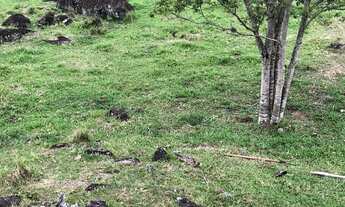 Imagem 3: Terreno à venda em Garopaba-SC, bairro Macacu, com 10.000m² de área - Oportunidade única!