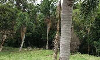 Imagem 2: Terreno à venda em Garopaba-SC, bairro Macacu, com 10.000m² de área - Oportunidade única!