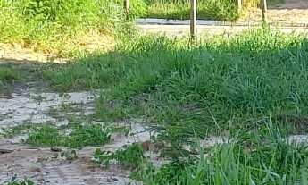 Imagem: Terreno à venda no Bairro Ambrósio em