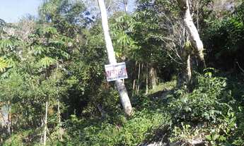 Imagem 5: Terreno à Venda em Garopaba-SC, Praia da Gamboa, 973,63 m² de Área com Vista Mar!