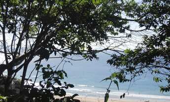 Imagem 3: Terreno à Venda em Garopaba-SC, Praia da Gamboa, 973,63 m² de Área com Vista Mar!