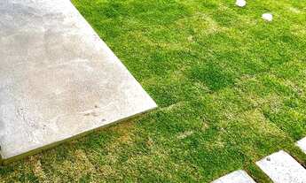 Imagem 4: Casa dos Sonhos com 3 Dormitórios em Garopaba-SC - Alto Padrão e Ótima Localização