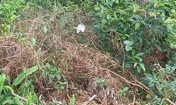 Imagem: Terreno em Ambrósio, Garopaba-SC localização