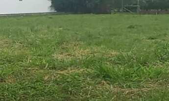 Imagem 4: Terrenos de Sonho a 150m da Praia da Barra em Garopaba-SC: Construa seu Paraíso à Beira-Ma