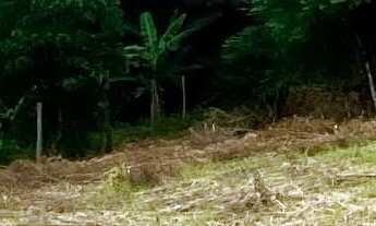 Imagem 3: Terreno à venda em Garopaba-SC, bairro Macacu! 2.000m² com vista panorâmica. Venha conferi