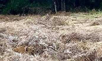 Imagem 4: Terreno à venda em Garopaba-SC, bairro Macacu! 2.000m² com vista panorâmica. Venha conferi