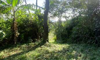 Imagem 7: Terreno à venda em Garopaba-SC, bairro Ressacada, com 172.989,94 m² de área! Venha conferi