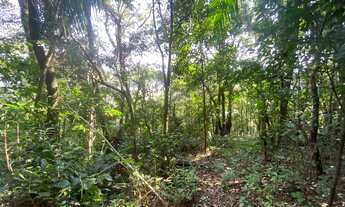 Imagem 3: Terreno à venda em Garopaba-SC, bairro Ressacada, com 172.989,94 m² de área! Venha conferi