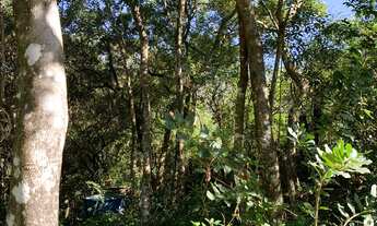 Imagem 4: Terreno à venda em Garopaba-SC, bairro Ambrósio, 600m² de área! Oportunidade única!