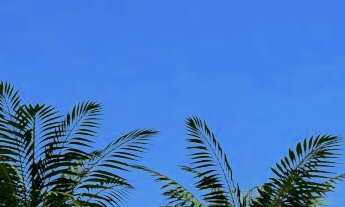 Imagem: Casa Térrea a venda no Bairro Areias de