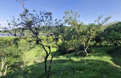 Imagem 7: Área Exclusiva à venda com 12.500 m² no Macacu, Garopaba-SC: Vista para Lagoa e Mar