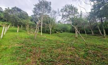 Imagem 5: Terreno com Vista Panorâmica para o Mar à Venda no Bairro Macacu - Garopaba-SC