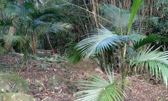 Imagem 5: Oportunidade Única: Terreno à Venda no Bairro Macacu em Garopaba/SC! 1.639,00 m² de área