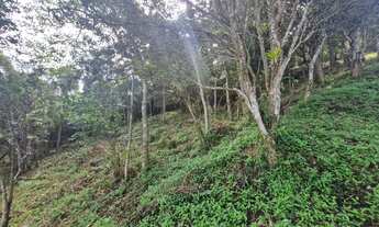 Imagem 3: Terreno à Venda na Praia da Silveira em Garopaba-SC - Vista para a Lagoa da Ferrugem!