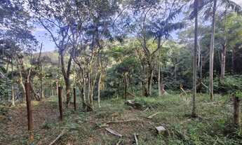 Imagem 3: Terreno com 630m² à venda por R$200.000,00 no Siriú - Garopaba-SC