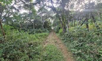 Imagem 5: Terreno com 630m² à venda por R$200.000,00 no Siriú - Garopaba-SC