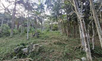 Imagem 4: Terreno com 630m² à venda por R$200.000,00 no Siriú - Garopaba-SC