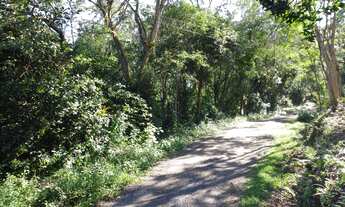 Imagem 6: Terreno à venda no Siriú, Garopaba (SC), com 700m², leve declive e vista para o mar. A ape