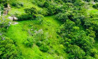 Imagem 4: Terreno com vista para o mar em Garopaba 4.220,00 m² no Morro do Macacu, Garopaba/SC com c