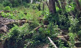 Imagem 5: Terreno à Venda na Encantada Garopaba/SC. Pronto para Construir, Escritura Pública