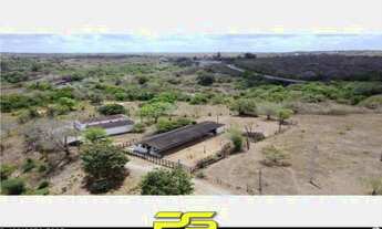 Imagem: FAZENDA À VENDA, 15 HECTARES POR R$ 850.000