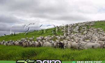 Imagem 4: FAZENDA À VENDA, 1495151900 M² POR R$ 1.400.000.000,00 - PORTO DA MANGA - CORUMBÁ/MS