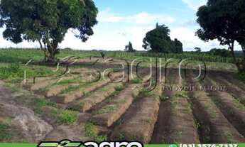 Imagem 6: SÍTIO À VENDA, 8 HECTARES POR R$ 1.500.000 - PROXIMO À PB-008/PB