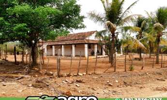 Imagem 2: FAZENDA COM 3 DORMITÓRIOS À VENDA, 1900000 M² POR R$ 900.000,00 - 00 - SUMÉ/PB