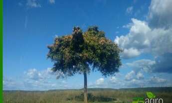 Imagem: FAZENDA À VENDA, 190000000 M² POR R$ 195.000.000
