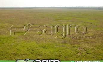 Imagem: FAZENDA À VENDA, 2004 HECTARES POR R$ 30.060