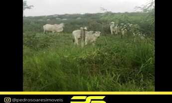 Imagem 7: FAZENDA À VENDA, 149.515,19 M² POR R$ 1.000.000.000 - BAIRRO CENTRO - JI-PARANÁ/RO