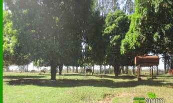 Imagem 5: FAZENDA À VENDA, 18029000 M² POR R$ 30.000.000 - ZONA RURAL - TRÊS LAGOAS/MS