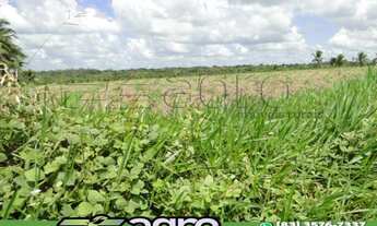 Imagem: OPORTUNIDADE )FAZENDA NA REGIÃO DE PEDRAS