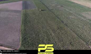 Imagem 1: TERRENO DE 4 HECTARES À VENDA EM MARI - PB POR 350.000,00