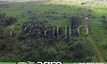 Imagem 5: FAZENDA À VENDA, 24000 HECTARES POR R$ 80.000.000 - MARACACUERA (ICOARACI) - BELÉM/PA