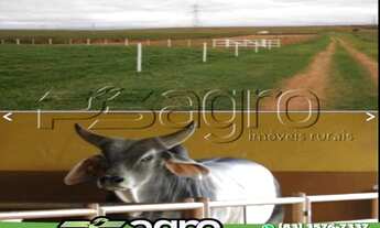 Imagem 6: FAZENDA À VENDA, 1020 HECTARES POR R$ 49.980.000 - CENTRO - BAURU/SP