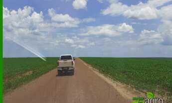 Imagem: FAZENDA À VENDA COM REPASSE DE ARRENDAMENTO