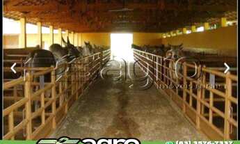 Imagem 4: FAZENDA À VENDA, 1020 HECTARES POR R$ 49.980.000 - CENTRO - BAURU/SP