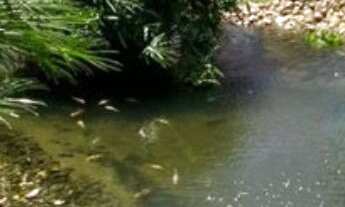 Imagem 4: APARTAMENTO RESIDENCIAL em JOÃO PESSOA - PB, ALTIPLANO CABO BRANCO