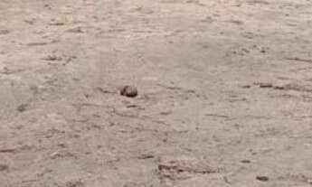 Imagem 4: TERRENO COMERCIAL em JOÃO PESSOA - PB, BRISAMAR